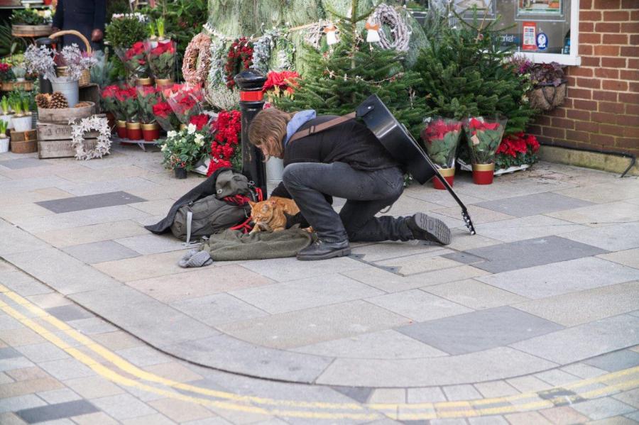 Bob el gato navideño